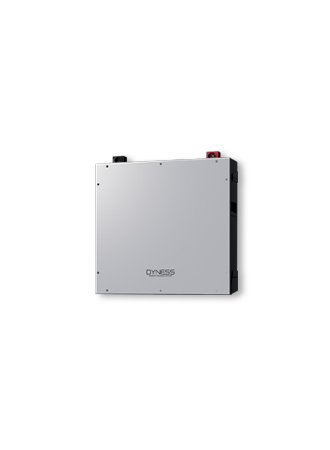 Dyness DL5.0C Pro batterij