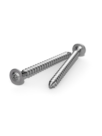Pan kop Screw A2 6.0x120 / TX30 - Renusol