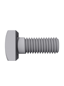 M10x25 vierkantkopScrew - Schletter